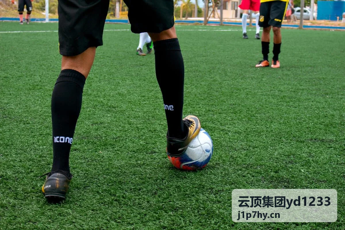 云顶集团yd1233活动记录回顾